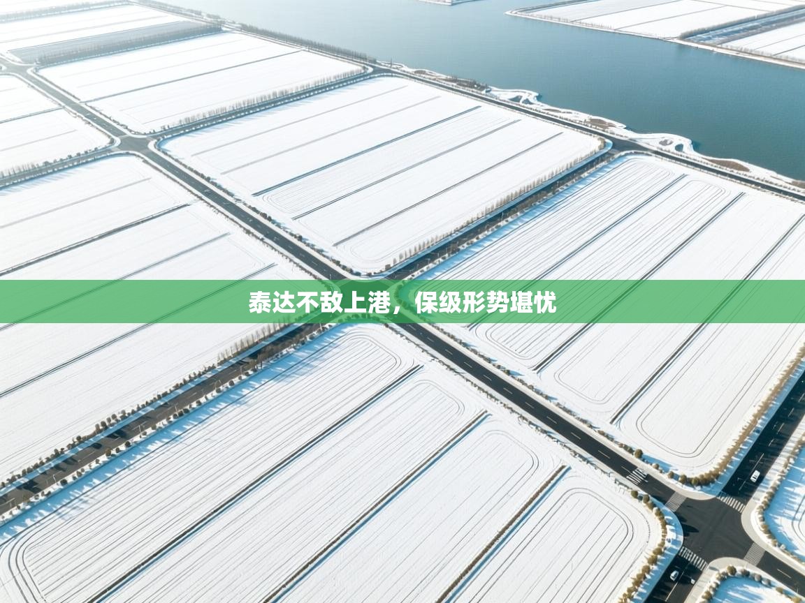 泰达不敌上港，保级形势堪忧  第2张