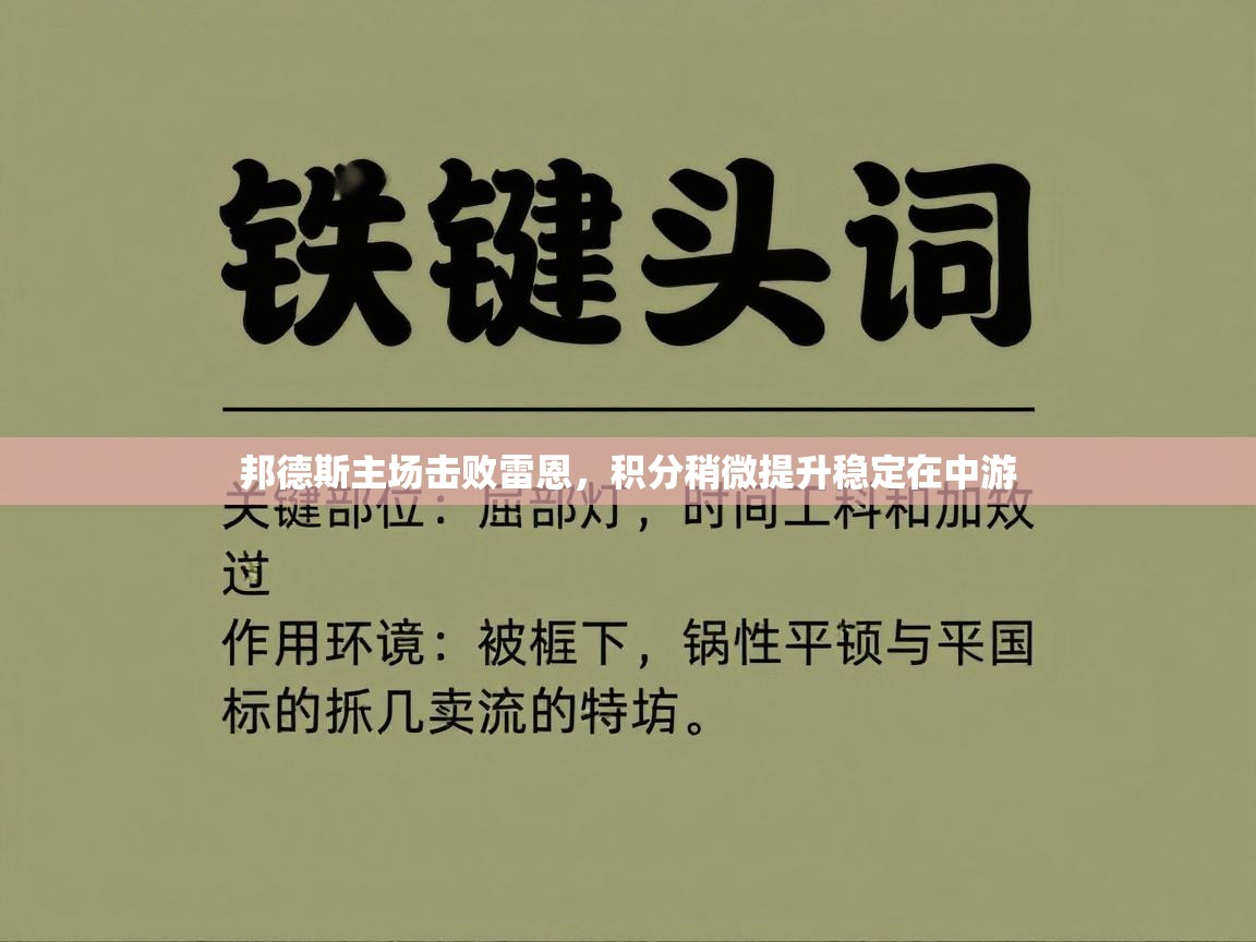 邦德斯主场击败雷恩，积分稍微提升稳定在中游  第2张