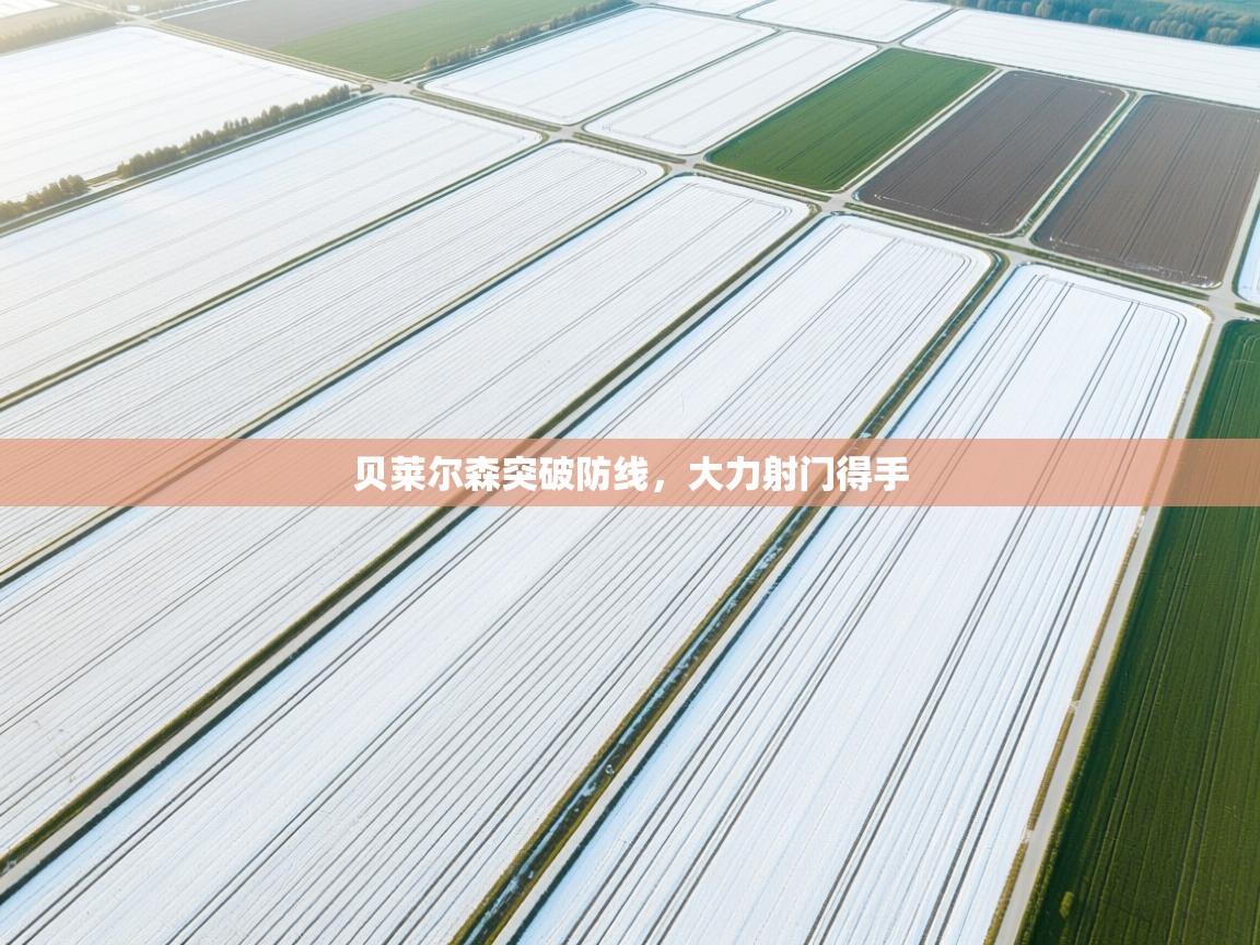 贝莱尔森突破防线，大力射门得手  第1张