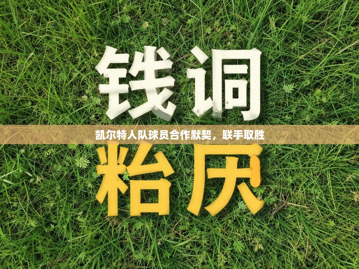 凯尔特人队球员合作默契，联手取胜  第1张