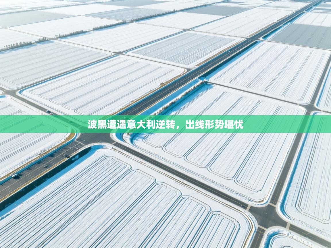 波黑遭遇意大利逆转，出线形势堪忧  第1张