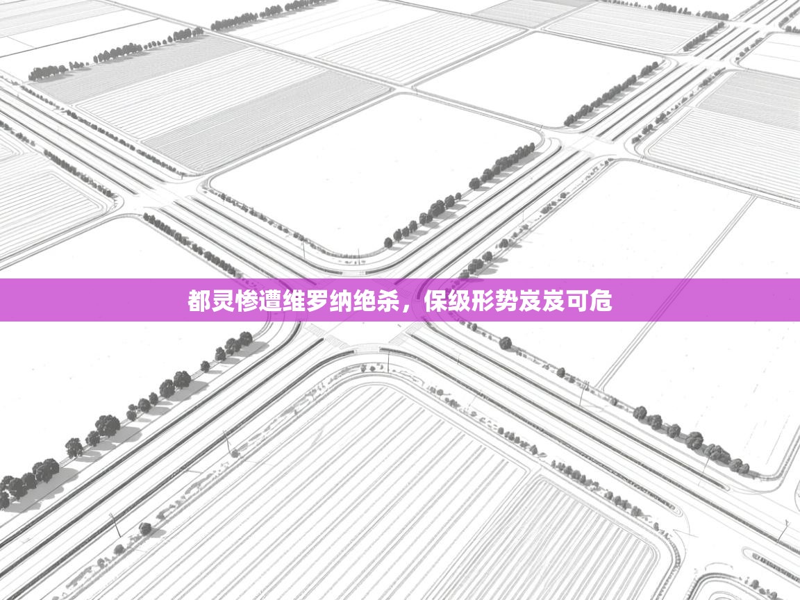 都灵惨遭维罗纳绝杀，保级形势岌岌可危  第1张